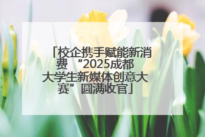 校企携手赋能新消费 “2025成都大学生新媒体创意大赛”圆满收官