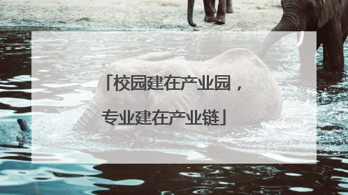 校园建在产业园，专业建在产业链