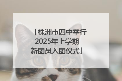 株洲市四中举行2025年上学期新团员入团仪式