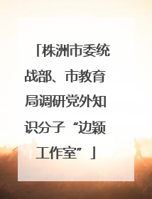 株洲市委统战部、市教育局调研党外知识分子“边颖工作室”