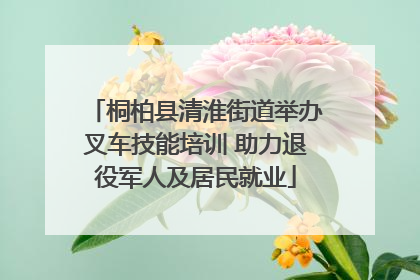 桐柏县清淮街道举办叉车技能培训 助力退役军人及居民就业