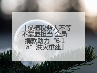 桑植税务人不等不靠显担当 全员捐款助力“6·18”洪灾重建