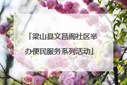 梁山县文昌阁社区举办便民服务系列活动