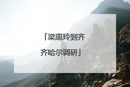 梁惠玲到齐齐哈尔调研