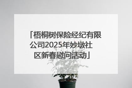 梧桐树保险经纪有限公司2025年妙墩社区新春慰问活动
