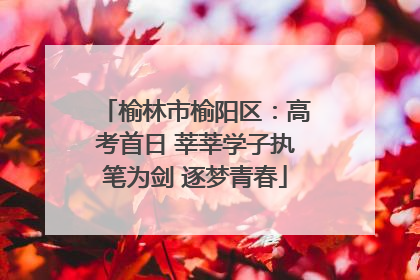 榆林市榆阳区：高考首日 莘莘学子执笔为剑 逐梦青春