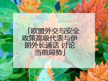 欧盟外交与安全政策高级代表与伊朗外长通话 讨论当前局势