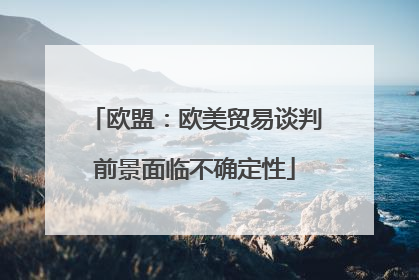 欧盟：欧美贸易谈判前景面临不确定性