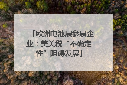 欧洲电池展参展企业：美关税“不确定性”阻碍发展
