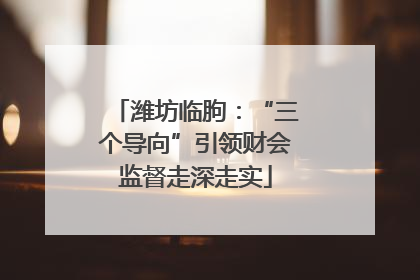 潍坊临朐：“三个导向”引领财会监督走深走实