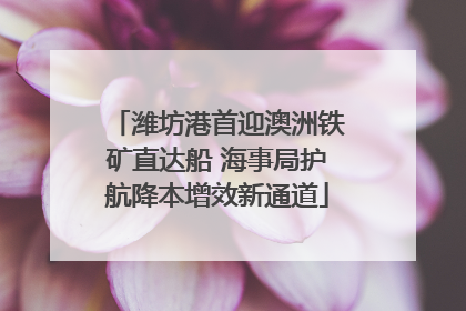 潍坊港首迎澳洲铁矿直达船 海事局护航降本增效新通道