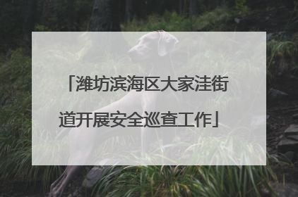 潍坊滨海区大家洼街道开展安全巡查工作