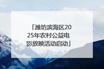 潍坊滨海区2025年农村公益电影放映活动启动