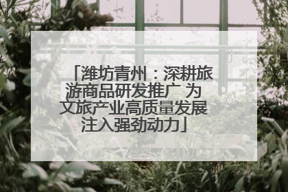 潍坊青州：深耕旅游商品研发推广 为文旅产业高质量发展注入强劲动力