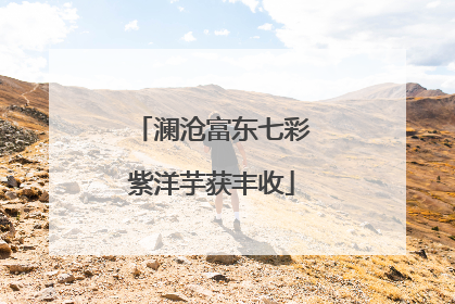 澜沧富东七彩紫洋芋获丰收