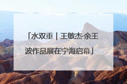 水双重｜王敏杰·余王波作品展在宁海启幕