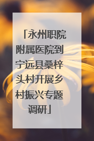 永州职院附属医院到宁远县桑梓头村开展乡村振兴专题调研