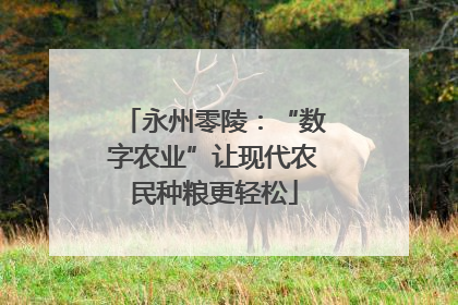 永州零陵：“数字农业”让现代农民种粮更轻松