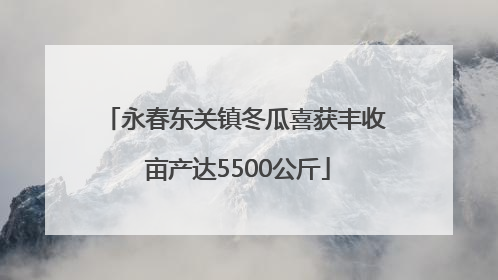永春东关镇冬瓜喜获丰收 亩产达5500公斤