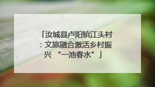 汝城县卢阳镇江头村：文旅融合激活乡村振兴 “一池春水”
