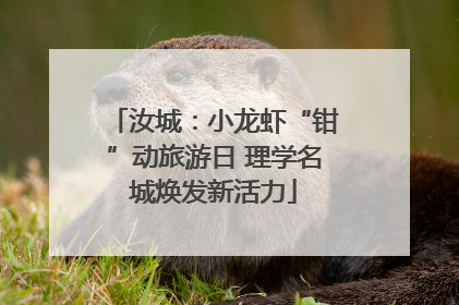 汝城：小龙虾“钳”动旅游日 理学名城焕发新活力