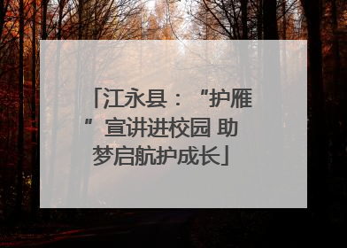 江永县：“护雁”宣讲进校园 助梦启航护成长