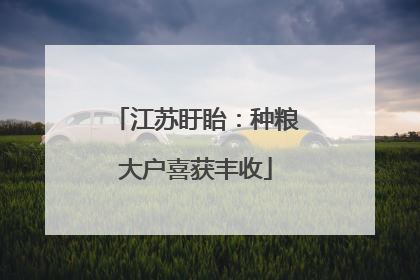 江苏盱眙：种粮大户喜获丰收