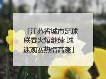 江苏省城市足球联赛火爆继续 球迷观赛热情高涨