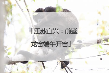 江苏宜兴：前墅龙窑端午开窑
