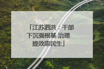江苏泗洪：干部下沉强根基 治理提效惠民生