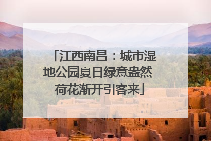 江西南昌：城市湿地公园夏日绿意盎然 荷花渐开引客来