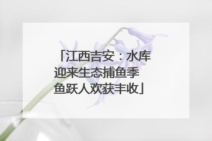 江西吉安：水库迎来生态捕鱼季 鱼跃人欢获丰收