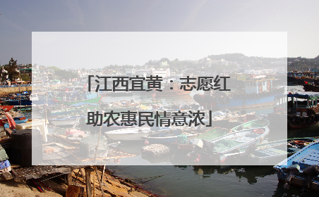 江西宜黄：志愿红助农惠民情意浓