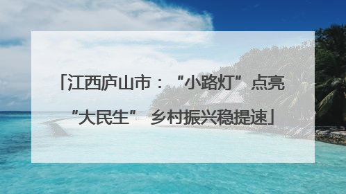 江西庐山市：“小路灯”点亮“大民生” 乡村振兴稳提速