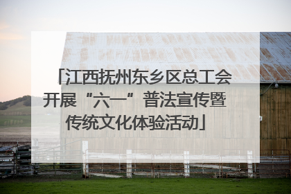 江西抚州东乡区总工会开展“六一”普法宣传暨传统文化体验活动