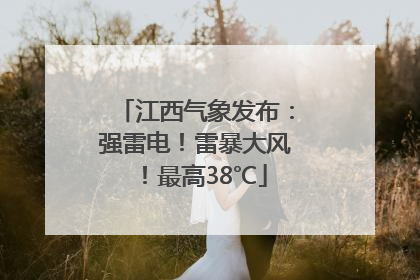 江西气象发布：强雷电！雷暴大风！最高38℃