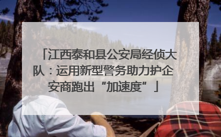 江西泰和县公安局经侦大队：运用新型警务助力护企安商跑出“加速度”