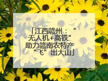 江西赣州：“无人机+高铁”助力赣南农特产“飞”出大山