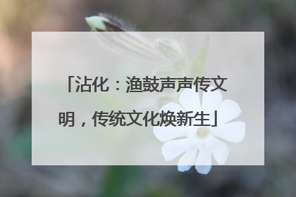 沾化：渔鼓声声传文明，传统文化焕新生