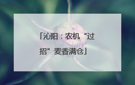 沁阳：农机“过招”麦香满仓