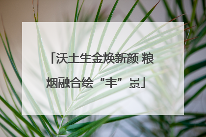 沃土生金焕新颜 粮烟融合绘“丰”景