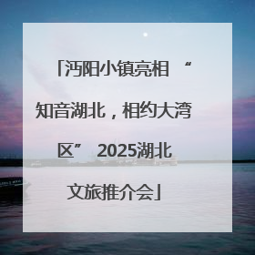 沔阳小镇亮相 “知音湖北，相约大湾区” 2025湖北文旅推介会