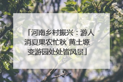 河南乡村振兴：游人消夏果农忙秋 黄土塬变游园处处皆风景
