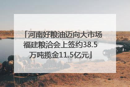河南好粮油迈向大市场 福建粮洽会上签约38.5万吨揽金11.5亿元