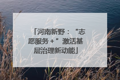 河南新野：“志愿服务＋”激活基层治理新动能
