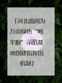 河北曲周为万亩绿色“吨半粮”示范基地创建指挥田机制