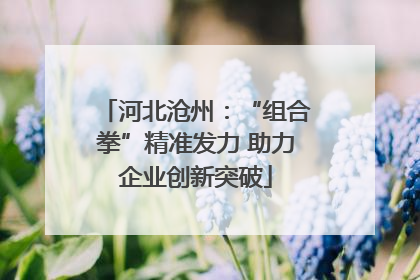 河北沧州：“组合拳”精准发力 助力企业创新突破