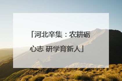 河北辛集：农耕砺心志 研学育新人