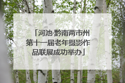 河池·黔南两市州第十一届老年摄影作品联展成功举办