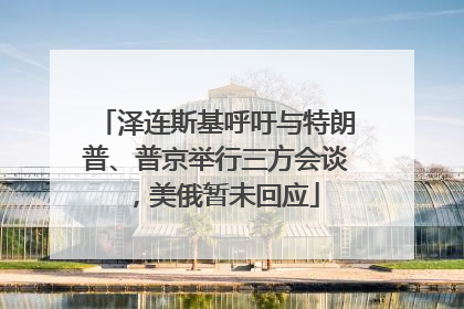 泽连斯基呼吁与特朗普、普京举行三方会谈，美俄暂未回应